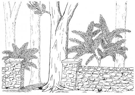 103-06-2025-082142-16