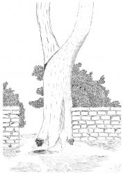 103-06-2025-082142-3