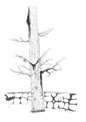 103-06-2025-082142-9