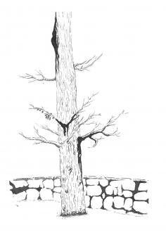 103-06-2025-082142-9