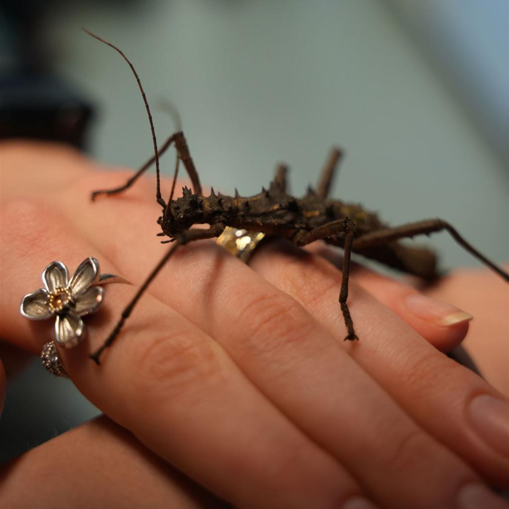 Tag der offenen Tür 2024 00039