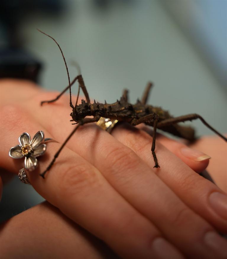 Tag der offenen Tür 2024 00039