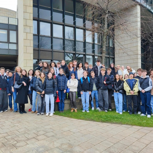 MicrosoftTeams-image (6)